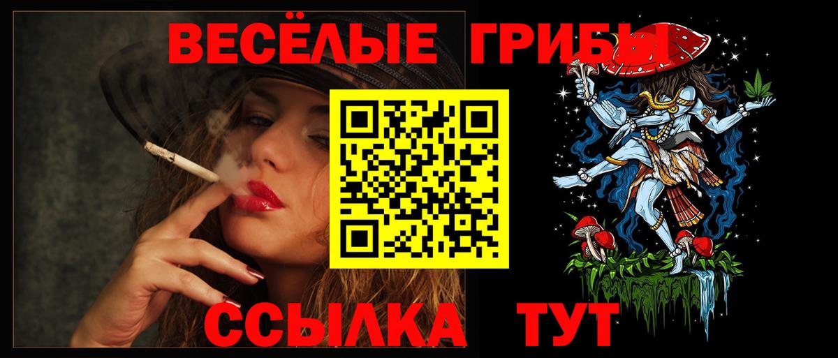 Псилоцибиновые грибы GOLDEN TEACHER  Псилоцибиновые грибы прущие грибы  Воронеж  Вход с VPN 