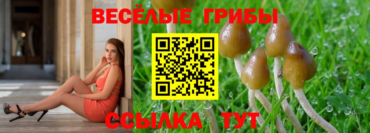 Псилоцибиновые грибы мухоморы Воронеж
